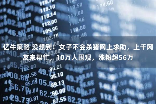亿牛策略 没想到！女子不会杀猪网上求助，上千网友来帮忙，10万人围观，涨粉超56万
