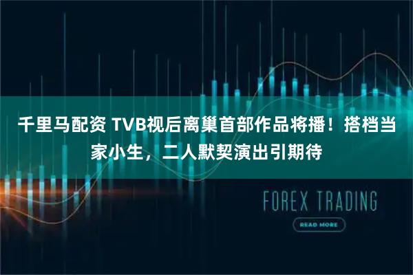 千里马配资 TVB视后离巢首部作品将播！搭档当家小生，二人默契演出引期待