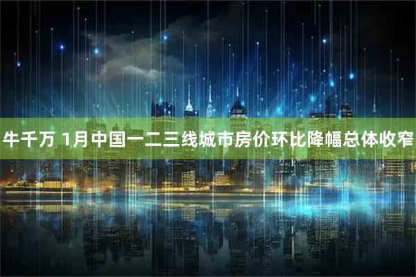 牛千万 1月中国一二三线城市房价环比降幅总体收窄